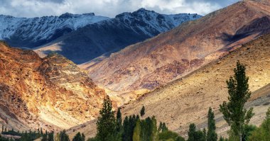 Önünde ağaçlar ve arka planında buzul zirveleri olan Rocky manzarası, Ladakh, Jammu ve Kashmir, Hindistan