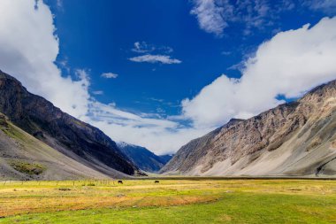 Drass köyünün mavi bulutlu arka planı, Kargil, Ladakh, Jammu ve Kashmir, Hindistan