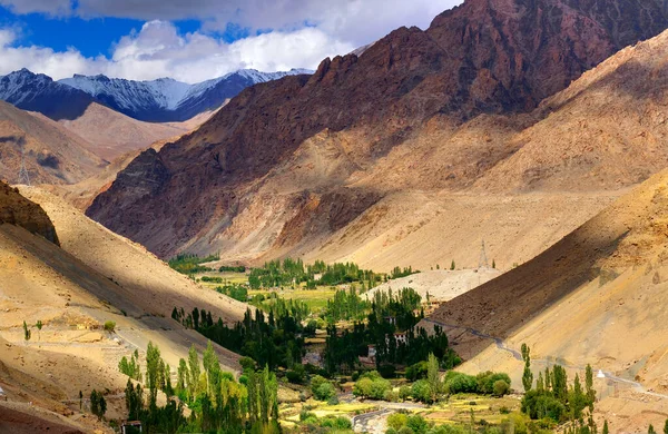 Bela Paisagem Rochosa Ladakh Com Vale Verde Meio Jogo Luz — Fotografia de Stock