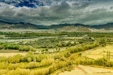 Leh şehrinin havadan görünüşü, buzdan tepeli yeşil manzara, arkaplanlı mavi gökyüzü, Ladakh, Jammu ve Kashmir, Hindistan.
