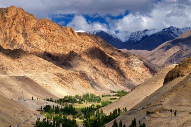 Ortasında yeşil vadi olan Ladakh 'ın Rocky manzarası, ışık ve gölge Jammu ve Kashmir, Leh, Hindistan