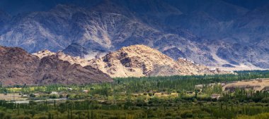 Leh şehrinin panoramik hava manzarası, arka planda Himalaya dağ zirveleri, Ladakh, Jammu ve Kashmir, Hindistan