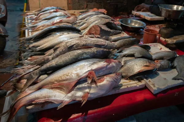 新鲜的未煮熟的鱼在老德里市场 这个地方素有美味的鱼类菜肴的美味佳肴 — 图库照片