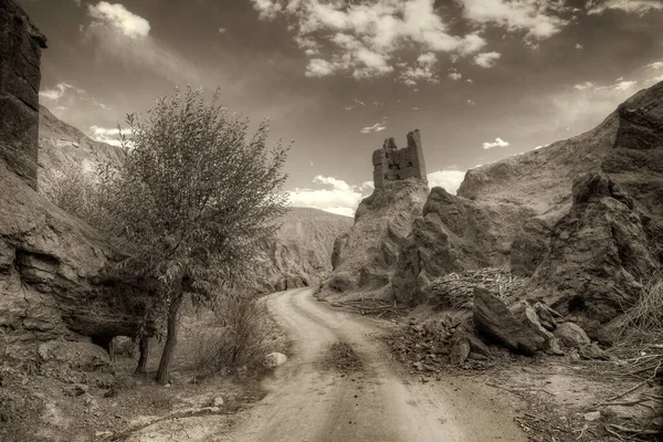 Ruiner Och Basgo Kloster Omgiven Stenar Och Stenar Leh Ladakh — Stockfoto