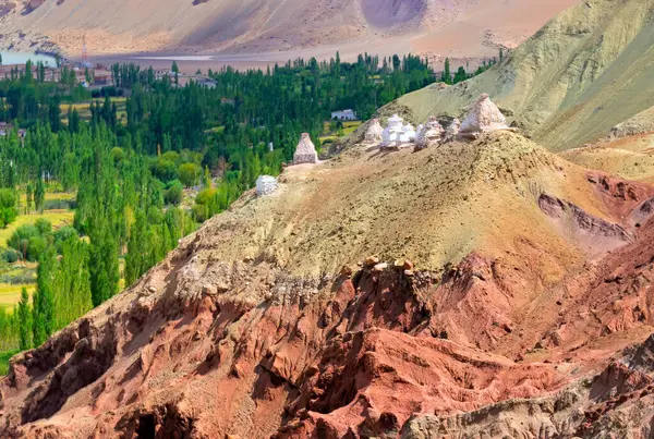 Weiße Buddhistische Religiöse Stupas Leh Ladakh Jammu Und Kaschmir Indien — Stockfoto