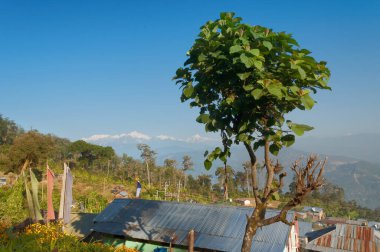 Arka planda Kanchenjunga sıradağları olan Silerygaon Köyü 'nün güzel manzarası, sabah ışığı, Sikkim, Hindistan' da.