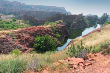 Rao Jodha çölündeki Jodhpur, Hindistan 'dan Mehrangarh kalesinin manzarası. Ön planda yalnız bir kaktüs, orta yerde göl ve arka planda Mehrangarh kalesi, çöl parkının kayalık manzarası..