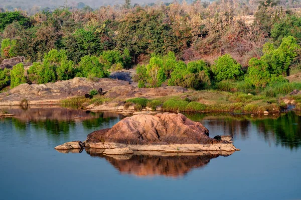 Belle Rivière Panna Lit Rocheux Parc National Panna Madhya Pradesh — Photo