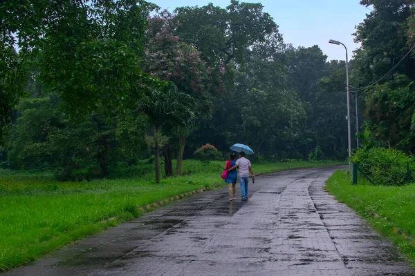 Romantic couple with one blue umbrella walking down the road inside in nature, conceptual stock image of rainy season, Kolkata, West Bengal. Monsoon of India. Male holding female\'s back.