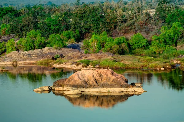 Belle Rivière Panna Lit Rocheux Parc National Panna Madhya Pradesh — Photo