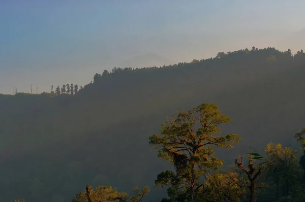 Hermosa Vista Los Árboles Silerygaon Village Con Cordillera Kanchenjunga Fondo —  Fotos de Stock