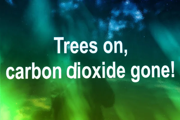 二酸化炭素を吸収し 地球上に人間が存在するための主要な必要性である酸素を発生させる木の重要性を伝える木についての情報書き込み — ストック写真