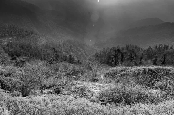 Schöner Schwarz Weißer Kalter Wintersonnenaufgang Lunhgthang Sikkim Westbengalen Indien — Stockfoto