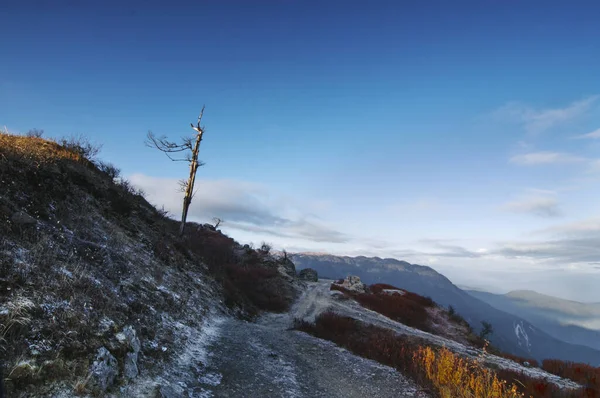 Verschneite Straße Lungthang Aussichtspunkt Morgen Sikkim — Stockfoto