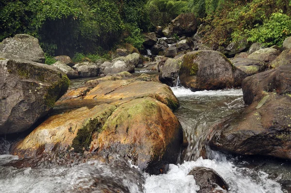 Agua Que Fluye Través Rocas Río Reshi Reshikhola Sikkim — Foto de Stock