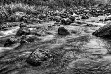 Şafakta taşların ve kayaların arasından akan güzel Reshi Nehri suyu, Sikkim, Hindistan. Reshi, Sikkim 'in en ünlü nehirlerinden biridir. Eyalette akar ve birçok yerel insana su verir.. 