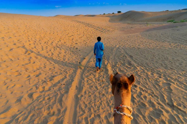 Cameleer Οδηγεί Μια Καμήλα Αμμόλοφους Της Ερήμου Thar Rajasthan Ινδία — Φωτογραφία Αρχείου