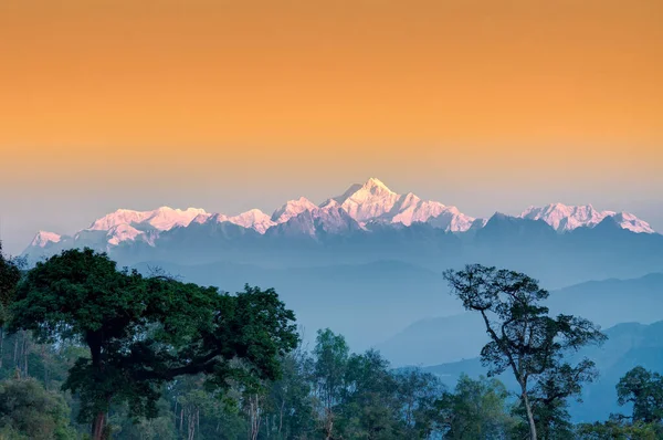 Beautiful View Tress Silerygaon Village Kanchenjunga Mountain Range Background Moring — Stock Photo, Image