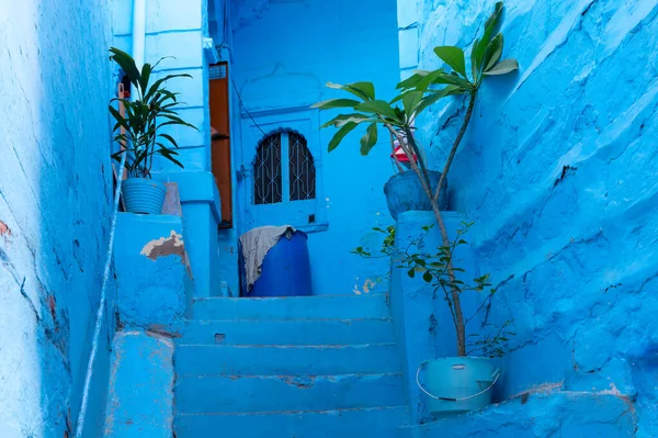 インドのラジャスタン州ジョードプル市の伝統的なブルーの色の家 歴史的には ヒンズー教徒のブラフミン人は 上部のカーストであることのために青で自分の家をペイントするために使用され 伝統は日付まで続いている — ストック写真
