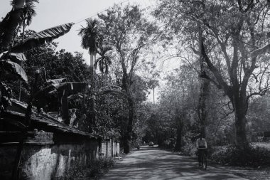 HOWRAH, BATI BENGAL, Hindistan - 24 Şubat 2018: İki tarafında ağaçlar ve evler olan bir köy yolu ve bisikletle geçen bir kişi.