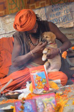 BABUGHAT, KOLKATA, Batı BENGAL / Hindistan - 10 HAZİRAN 2015: Hindu Sadhu yavru bir sokak köpeğini avlıyor, bebek sokak köpeği.