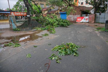 Howrah, Batı Bengal, Hindistan - 21 Mayıs 2020: Süper Kasırga Amphan devrilen ve yolu tıkayan ağacı söktü. Yıkım birçok ağacı yere düşürdü..