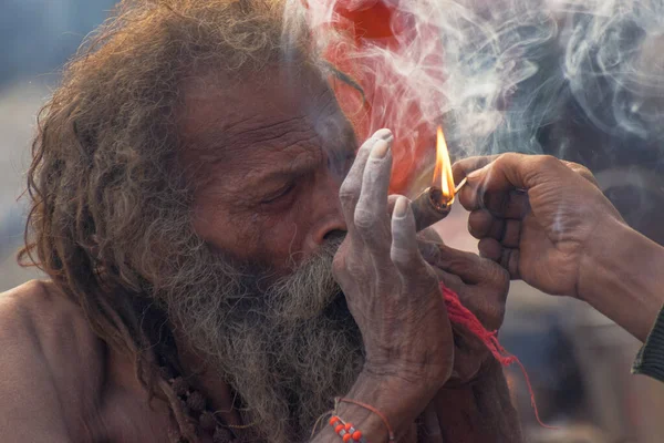 バブーガート コルカタ 西ベンガル インド 1月2015 地元ではGanjaと呼ばれるヒンドゥー サドゥ喫煙マリファナ 大麻サティバの形 — ストック写真