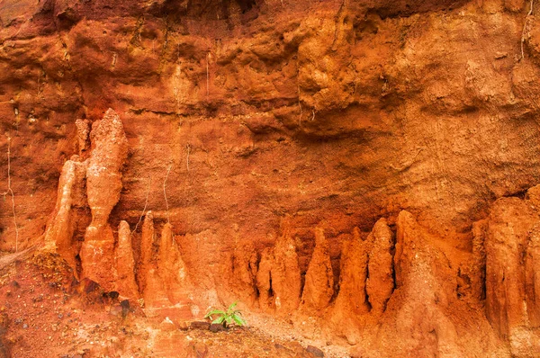 Gongoni Llamado Gran Cañón Bengala Occidental Garganta Tierra Roja India — Foto de Stock