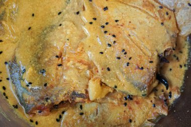 Pomfret balık parçaları tabakta, baharatlı Hint yemeği. Bengalliler ve Güney Asya arasında kendi zevkine göre popülerdir..