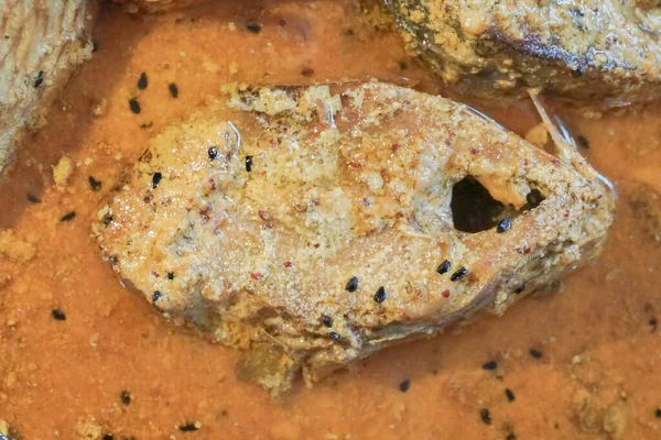 Tenualosa Ilisha Ilish Hilsa Hilsa Ringa Veya Hilsa Shad Balık — Stok fotoğraf