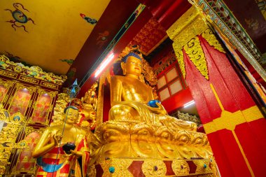 Goutam Buddha 'nın dini altın heykeli, Budist dini sembolü Sikkim Manastırı - Sikkim, Hindistan. İzinle resim çekimi.