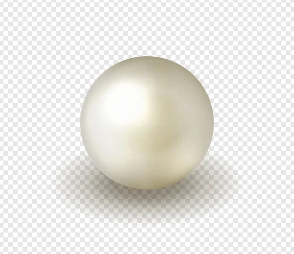 Natürliche Glänzende Perle Vektorillustration — Stockvektor