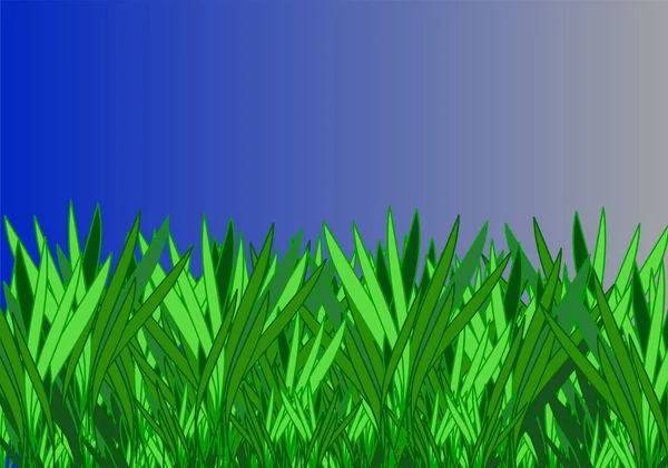 Herbe Isolée Sur Fond Bleu Illustration Vectorielle — Image vectorielle