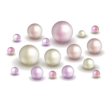 Doğayı, deniz incisini, küçük ve büyük beyaz incilerle donatın. Vektör illüstrasyonu