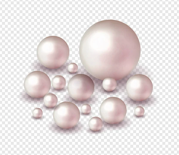 Pack Nature Sea Pearl Background Small Big White Pearls Vector — Stock Vector