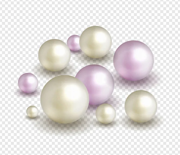 パックの性質 大小の白い真珠と海の真珠の背景 ベクターイラスト — ストックベクタ