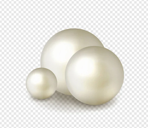 Pack Naturaleza Fondo Perlas Marinas Con Pequeñas Grandes Perlas Blancas — Vector de stock