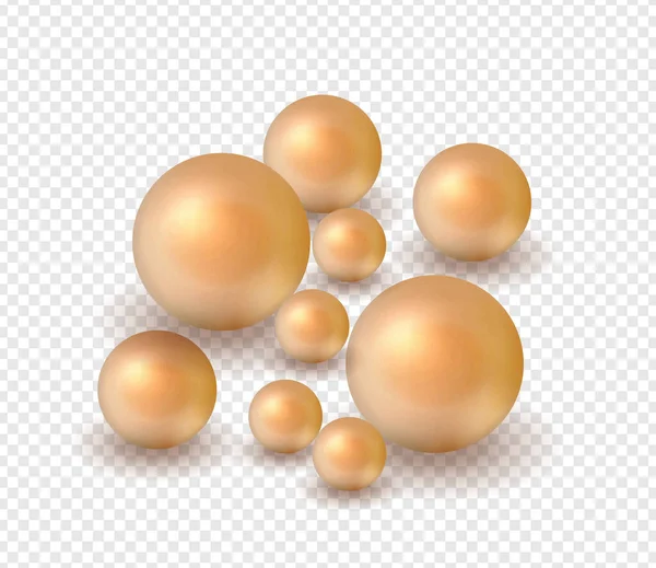 Pack Nature Sea Pearl Background Small Big White Pearls Векторная — стоковый вектор