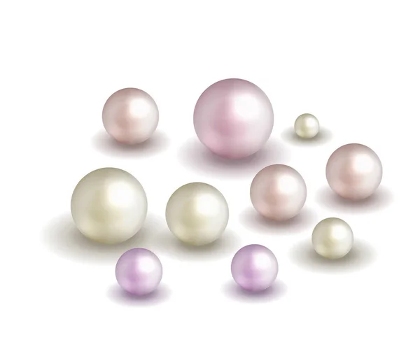 Pack Nature Fond Perle Mer Avec Petites Grandes Perles Blanches Graphismes Vectoriels