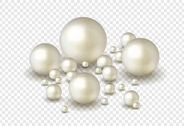 Pack Nature Sea Pearl Background Small Big White Pearls Векторная — стоковый вектор