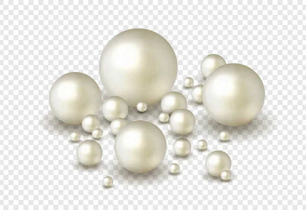 Pack Nature Fond Perle Mer Avec Petites Grandes Perles Blanches Graphismes Vectoriels