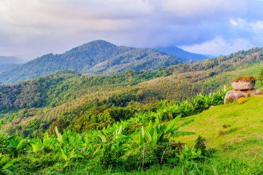 Güzel panoramik manzaralı Phuket Tayland Big Buddha Tepesi'nden. Bu bakış açısı turist Phuket Phuket şehir dahil olmak üzere çevresinde 360 derece manzarasının keyfini çıkarabilirsiniz.