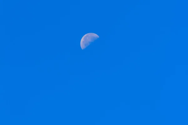 Half Moon Mavi Gökyüzünde Gün Boyunca Parlak Yörüngeli Bir Açık — Stok fotoğraf