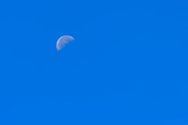 Half Moon Mavi Gökyüzünde Gün Boyunca Parlak Yörüngeli Bir Açık — Stok fotoğraf