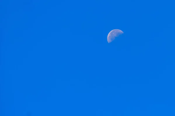 Half Moon Mavi Gökyüzünde Gün Boyunca Parlak Yörüngeli Bir Açık — Stok fotoğraf