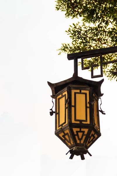 Beautiful Old Yellow Chinese Lantern Lamp Tree White Isolated Background — Stock Photo, Image