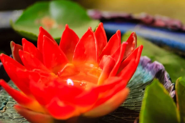 Όμορφο Αρωματικό Κερί Που Μοιάζει Λωτό Εξωτικά Κερί Σκαλιστά Lotus — Φωτογραφία Αρχείου