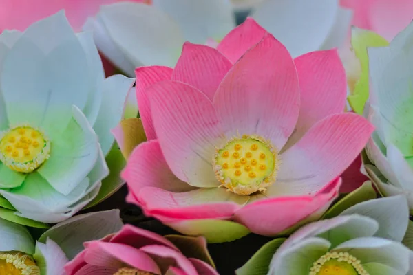 Aranyos Mesterséges Rózsaszín Virágok Vagy Tündérrózsa Mesterséges Lótuszvirág Merített Papír — Stock Fotó