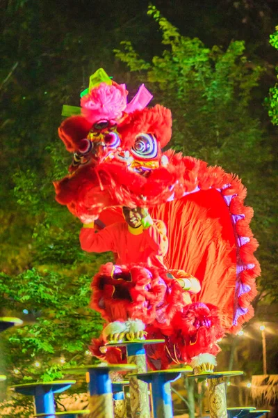 Bangkok Tailandia Enero 2017 Equipo Danza Del León Identificado Impresionante —  Fotos de Stock