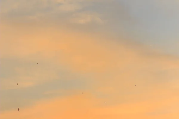 Colorido Con Cielo Dramático Rojo Naranja Azul Las Nubes Para —  Fotos de Stock